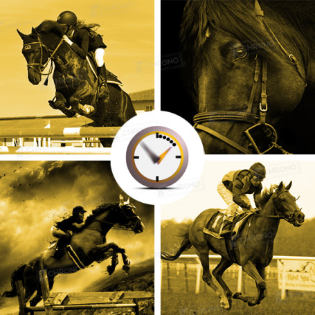 Equestre Pro de marque Vola en vente sur ITS Chrono