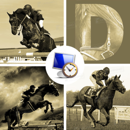Display Equestre Pro of Vola brand for sale on ITS Chrono
