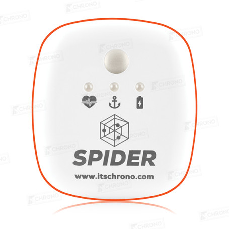 Spider TAG of ITS Chrono brand for sale on ITS Chrono